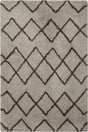 Chandra Zoya ZOY-45804 Silver and Grey rug, flat view