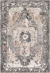 Surya Chelsea Csa-2304 Dark Brown, Camel, Charcoal, Slate, Ivory Rug