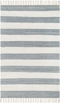 Surya Cotone Cte-2300 White, Denim Area Rug