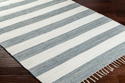 Surya Cotone Cte-2300 White, Denim Area Rug