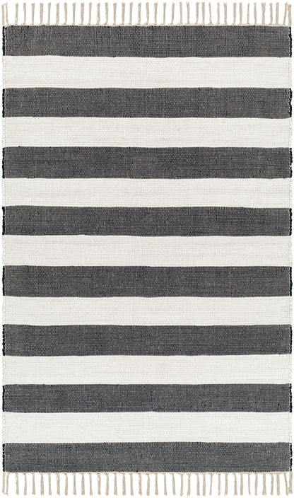 Surya Cotone Cte-2301 White, Navy Area Rug