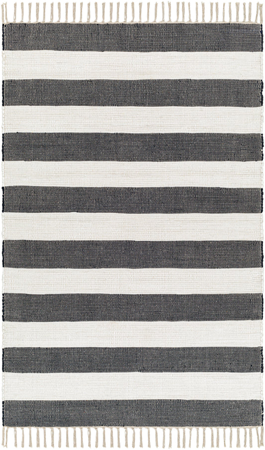 Surya Cotone Cte-2301 White, Navy Area Rug