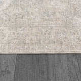 Dynamic Rugs Dharma 12041 Power Loomed Transitional Light Beige/Grey Rug - Pile