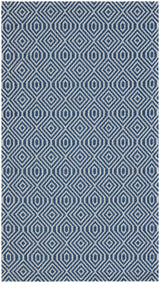 Safavieh Augustine 2'-10" x 5'-0" Rug in Navy / Light Grey