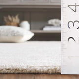Safavieh Anatolia 4'-0" x 6'-0" Rug in Ivory