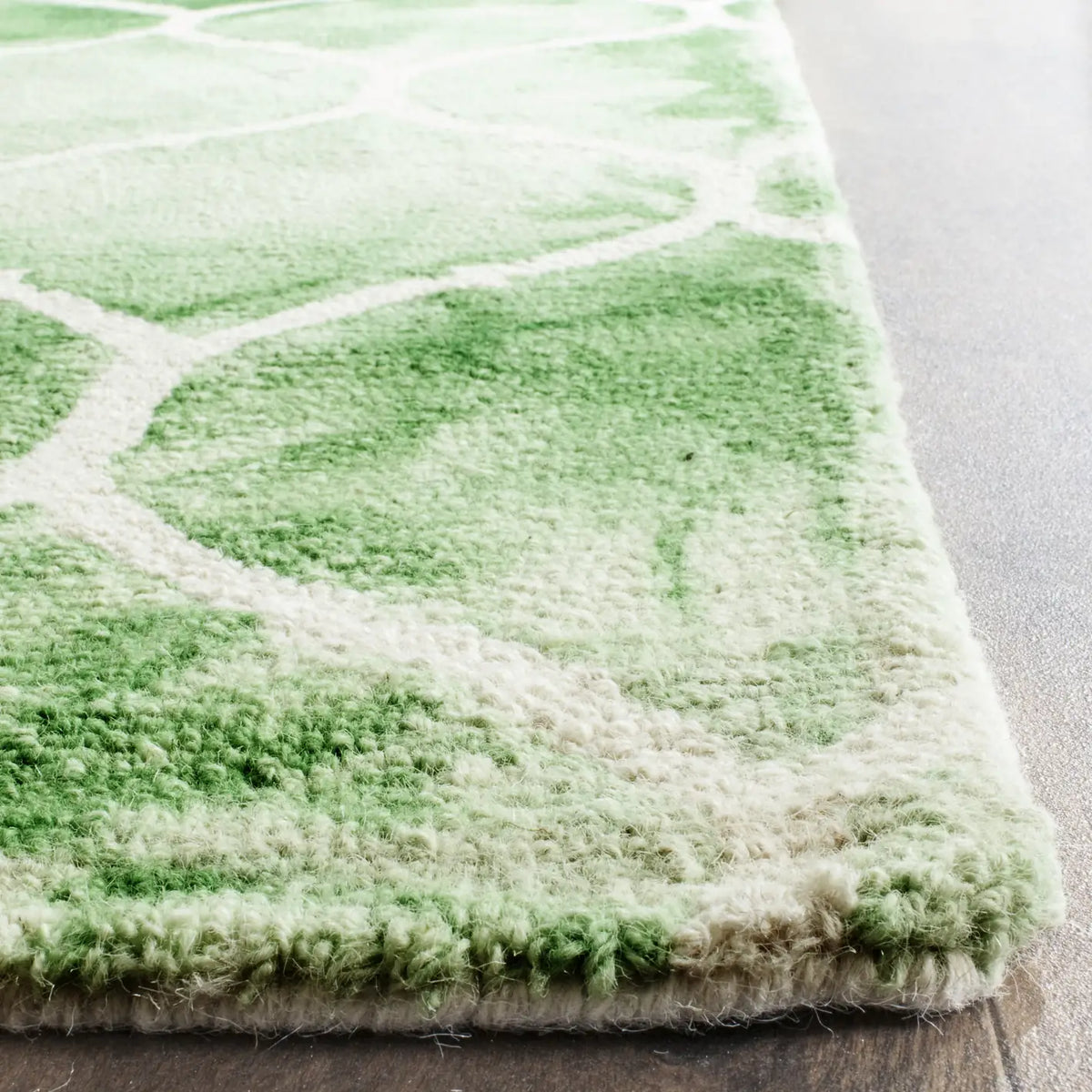Safavieh Dip Dye 8'-0" x 10'-0" Rug in Green / Ivory
