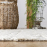 Safavieh Casablanca 4'-0" x 6'-0" Rug in Ivory