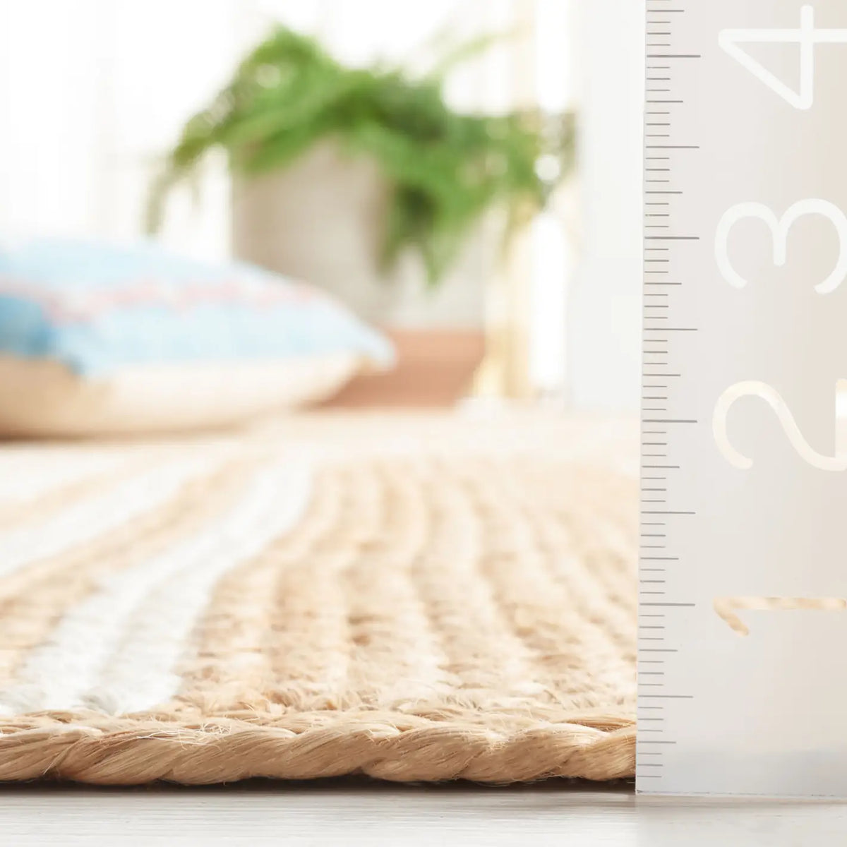 Safavieh Natural Fiber 4'-0" x 6'-0" Rug in Natural / Ivory