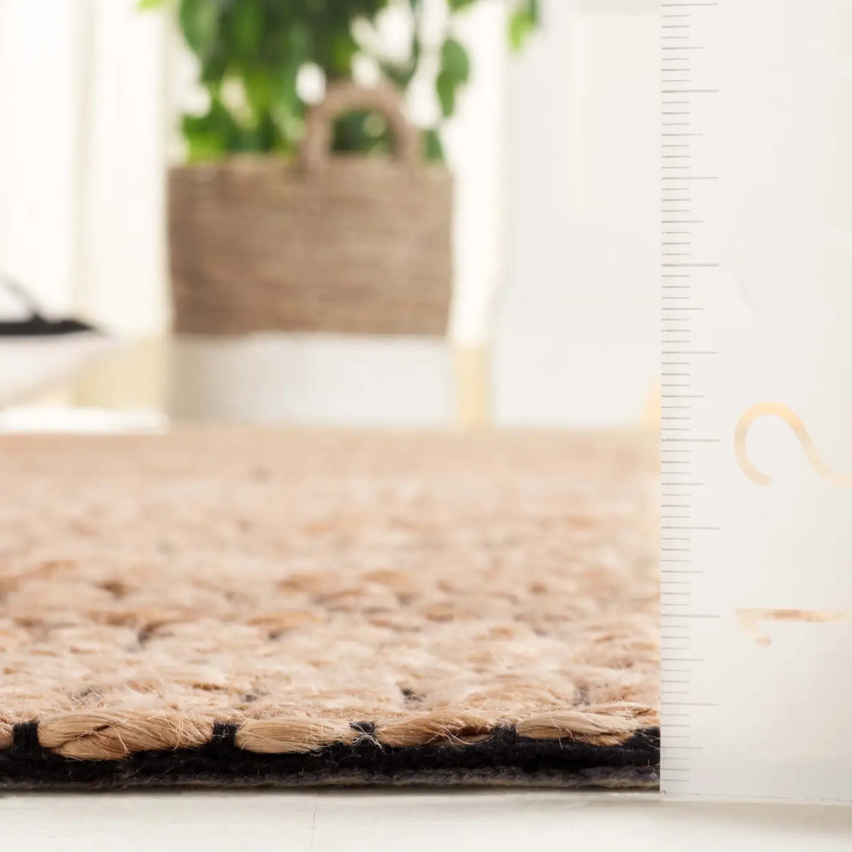 Safavieh Natural Fiber 4'-0" x 6'-0" Rug in Natural / Black