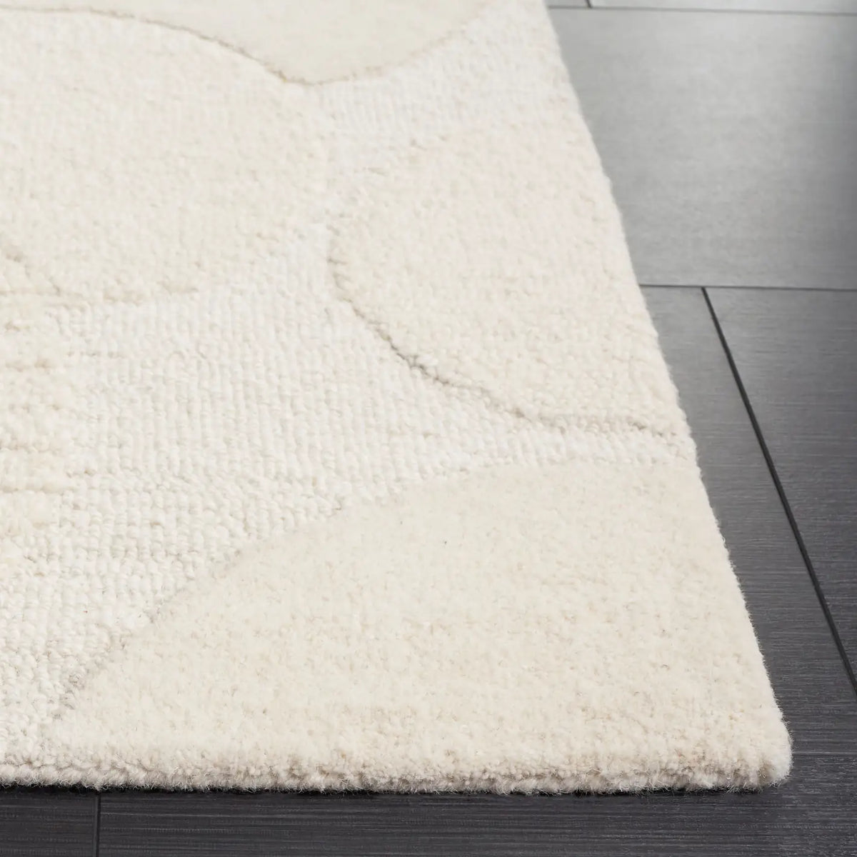 Safavieh Ebony 4'-0" x 6'-0" Rug in Ivory