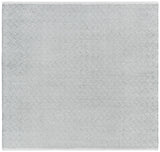 Safavieh Boston 6'-0" x 6'-0" Rug in Grey