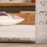 Safavieh Ebony 4'-0" x 6'-0" Rug in Rust / Ivory