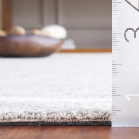 Safavieh Ebony 4'-0" x 6'-0" Rug in Grey / Ivory