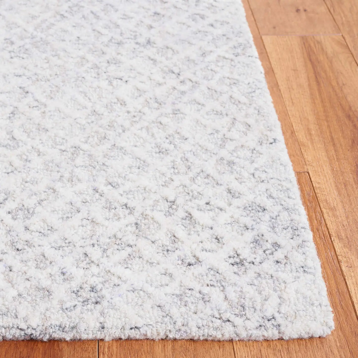 Safavieh Ebony 4'-0" x 6'-0" Rug in Grey / Ivory
