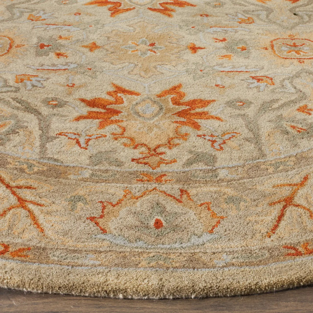 Safavieh Antiquity 6'-0" x 6'-0" Rug in Beige / Multi