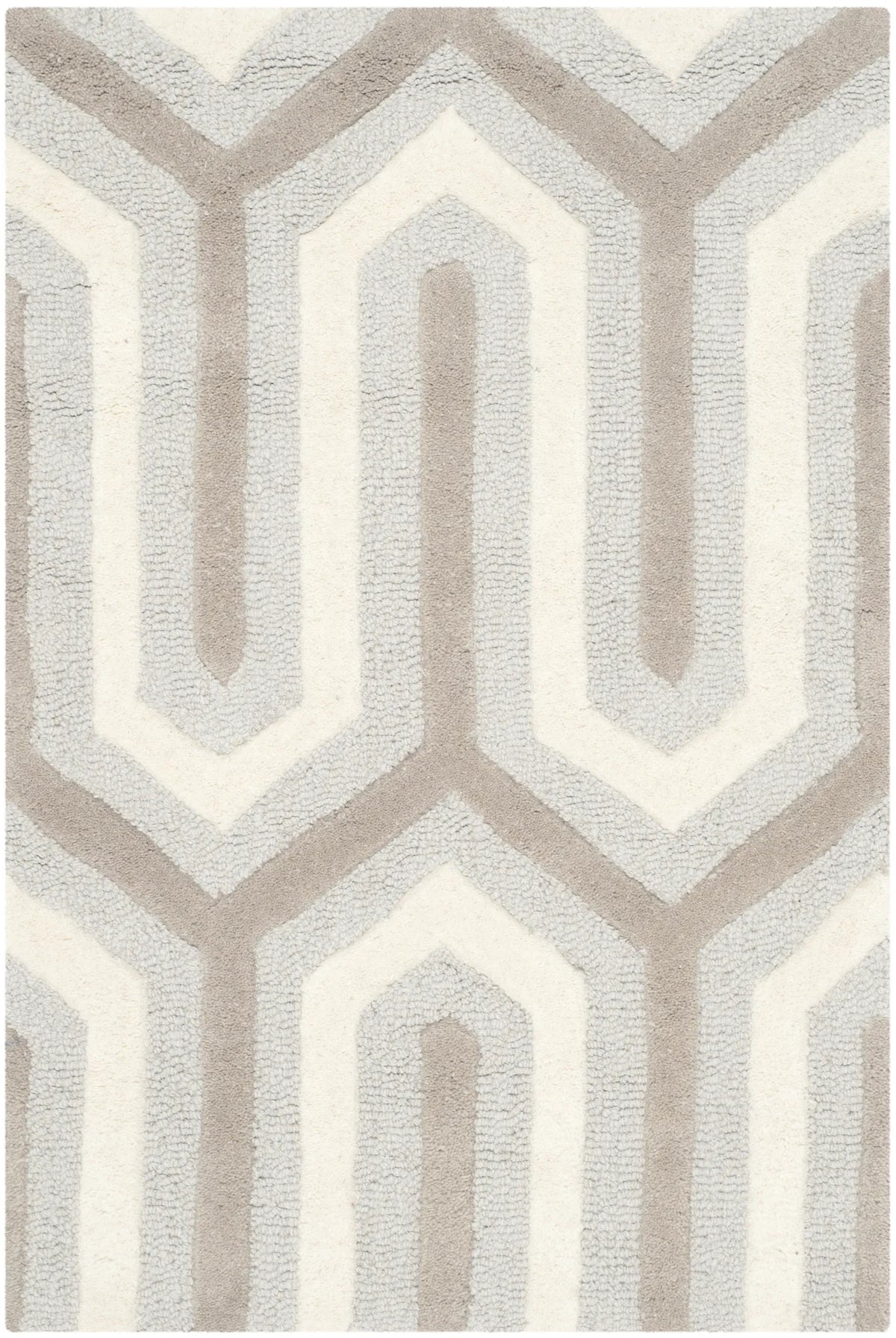 Safavieh Cambridge 2'-0" x 3'-0" Rug in Light Blue / Grey