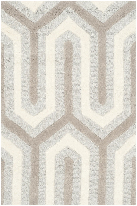 Safavieh Cambridge 2'-0" x 3'-0" Rug in Light Blue / Grey