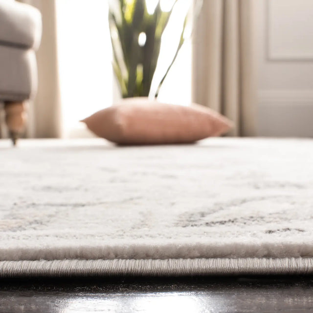 Safavieh Carnegie 4'-0" x 6'-0" Rug in Silver / Grey