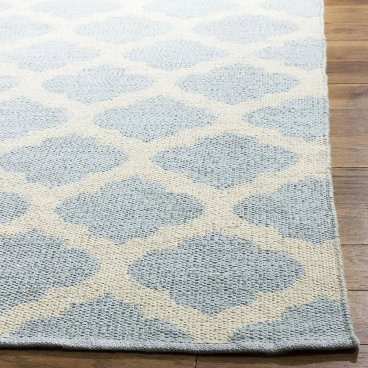 Safavieh Montauk 4'-0" x 6'-0" Rug in Light Blue / Ivory