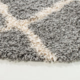 Safavieh Sgd-Dallas Shag 6'-0" x 6'-0" Rug in Grey / Ivory