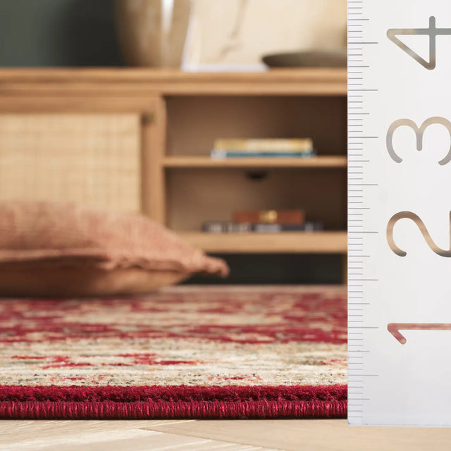 Safavieh Lyndhurst 4'-0" x 6'-0" Rug in Red / Ivory