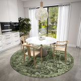 Dalyn Aberdeen AB2 Cactus Rug shown in a room