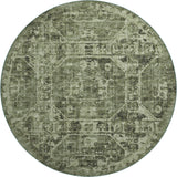 Dalyn Aberdeen AB2 Cactus Rug round rug