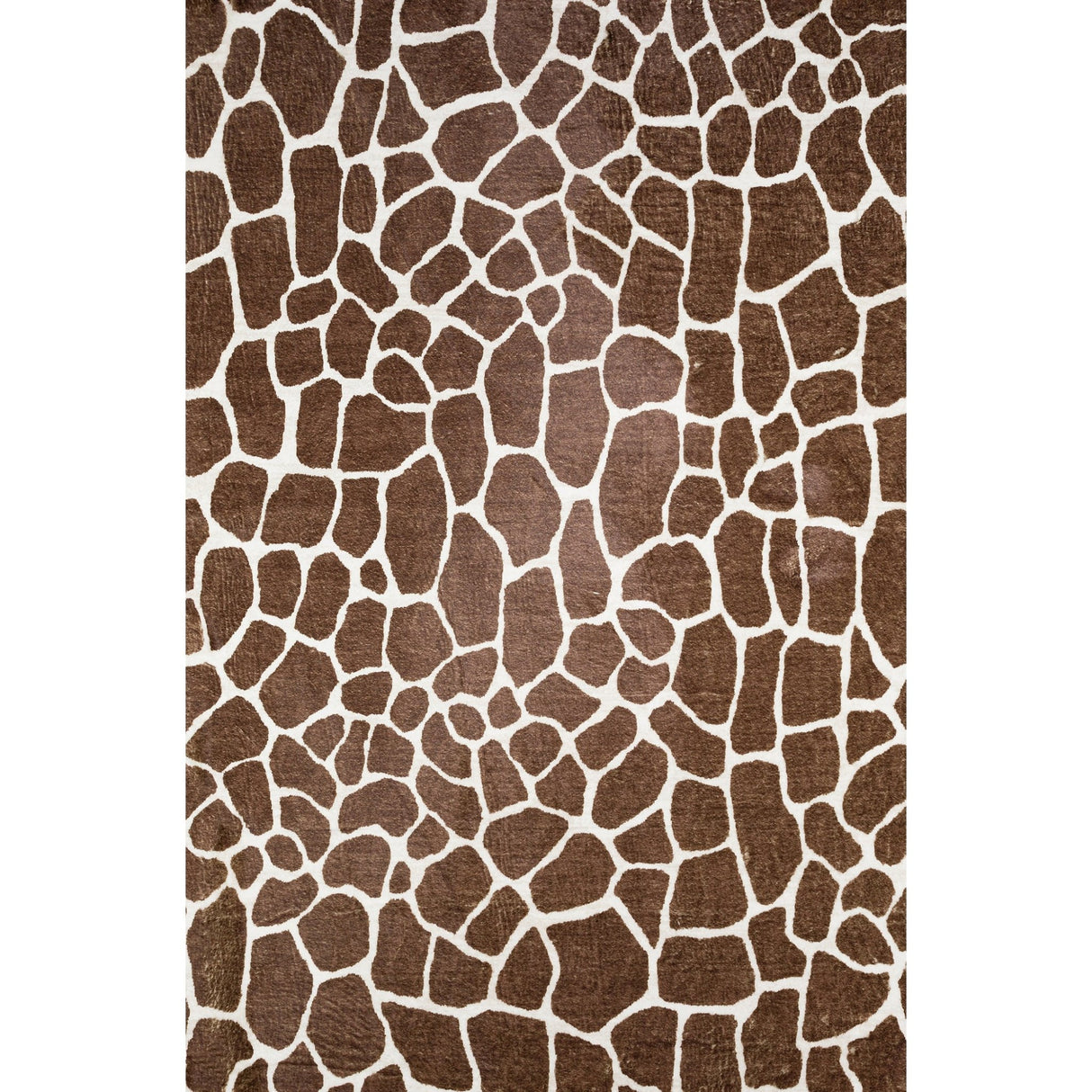 Dalyn Akina AK4 Chocolate Rug main image