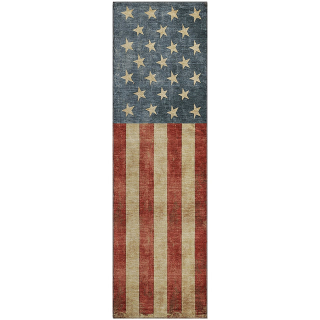 Dalyn Americana AM1 Red Rug runner rug