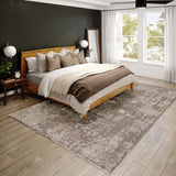 Dalyn Antalya Ay3 Silver Rug.
