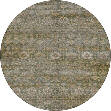 Dalyn Aristo AR9 Basil Rug round rug