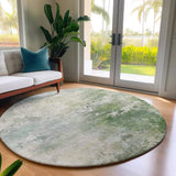 Dalyn Bresca BC2 Aloe Rug shown in a room