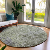 Dalyn Bresca BC6 Green Rug shown in a room