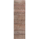 Dalyn Burano BU12 Coral Rug runner rug