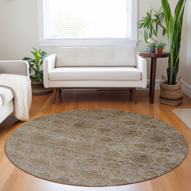 Dalyn Burano BU8 Brown Rug shown in a room