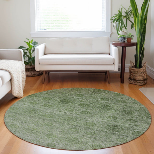 Dalyn Burano BU8 Olive Rug shown in a room