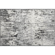 Dalyn Camberly CM1 Graphite Rug rectangular rug