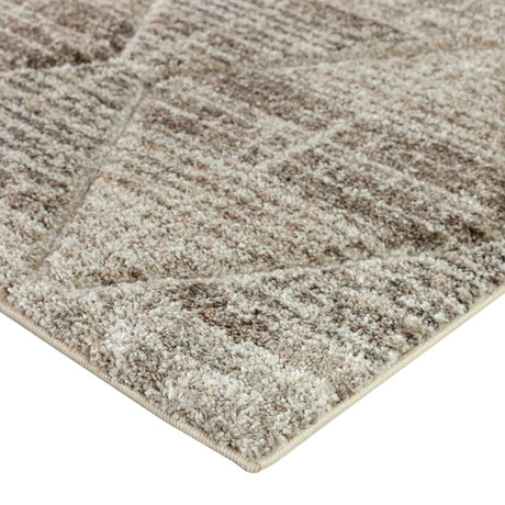 Dalyn Carmona Co8 Driftwood Rug.