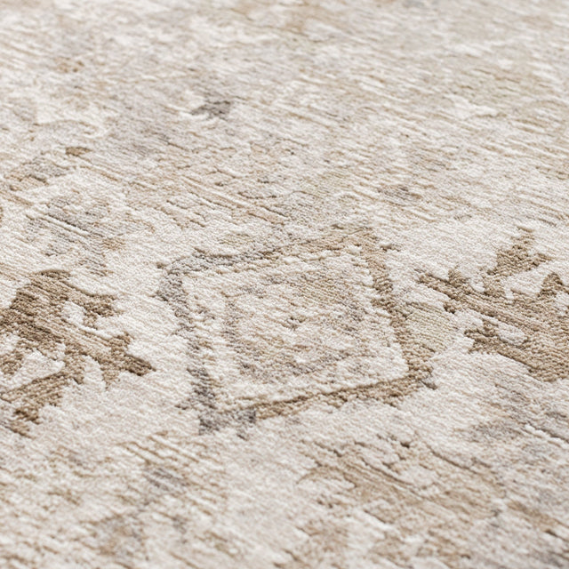Dalyn Cyprus CY4 Machine Made Traditional Brown Rug