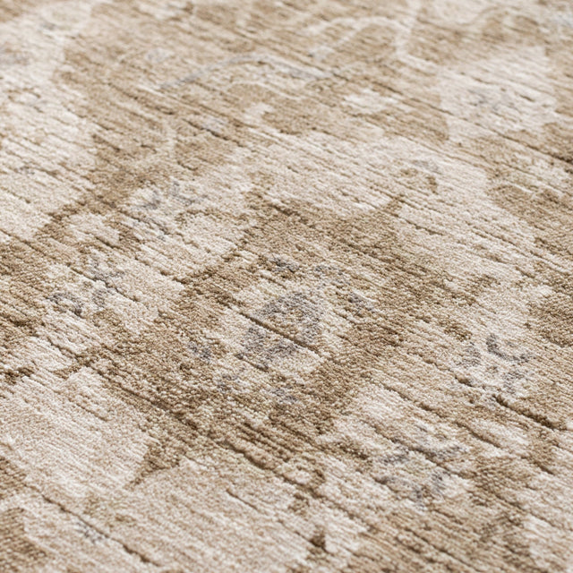 Dalyn Cyprus CY5 Machine Made Traditional Brown Rug
