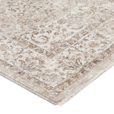Dalyn Cyprus CY8 Machine Made Traditional Brown Rug