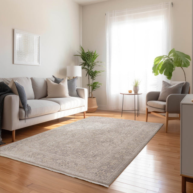 Dalyn Cyprus CY9 Machine Made Traditional Gray Rug