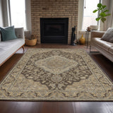 Dalyn Hatay HY3 Chocolate Rug shown in a room