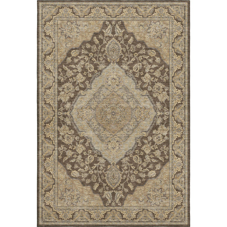 Dalyn Hatay HY3 Chocolate Rug main image