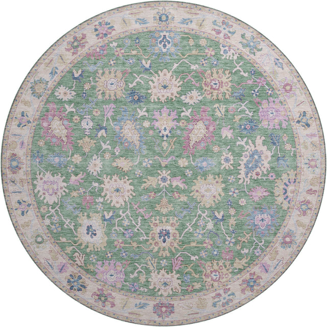 Dalyn Hatay HY7 Lime Rug round rug