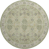 Dalyn Hatay HY9 Aloe Rug round rug