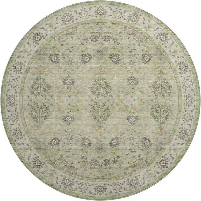 Dalyn Hatay HY9 Aloe Rug round rug