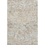 Dalyn Kaleidoscope KL1 Transitional Machine Made Putty Rug
