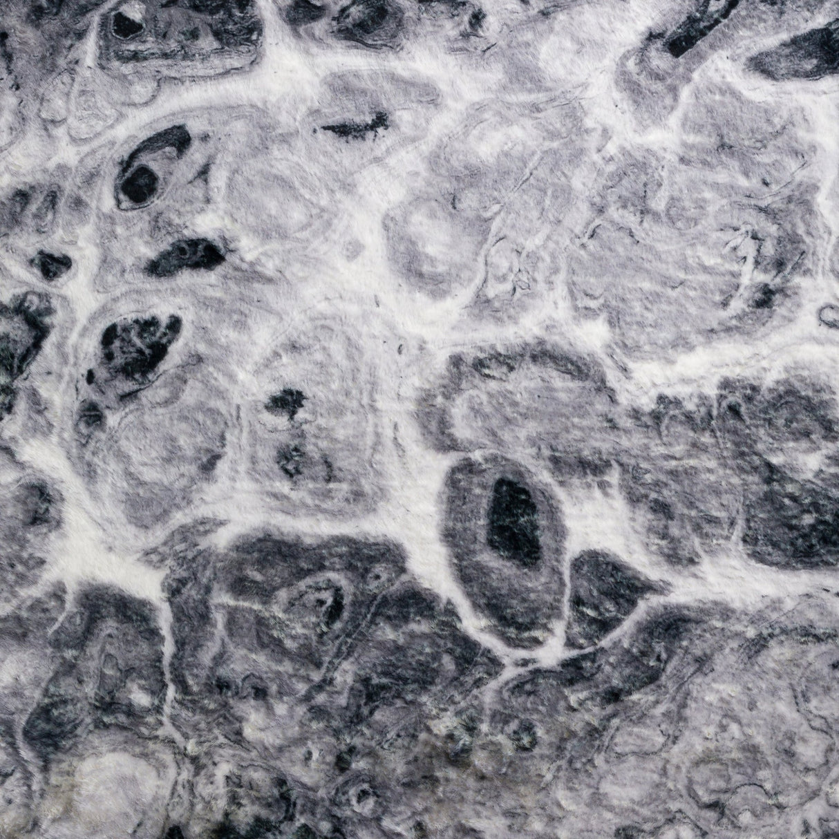 Dalyn Kikiamo KK14 Marble Rug color swatch