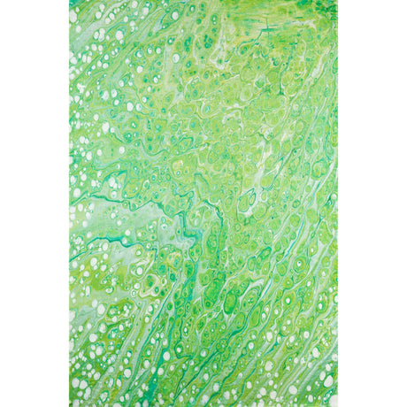Dalyn Kikiamo KK5 Lime-In Rug main image